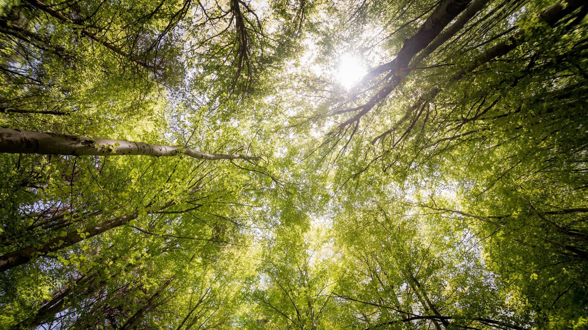 Environmentally responsible technology